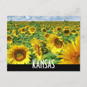 KANSAS POSTCARD