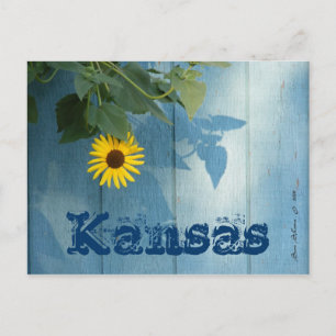 Kansas Postcard: Sunflower Blue Postcard