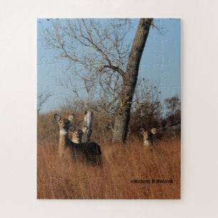 Kansas Quivira Wildlife Whitetail Deer Puzzle