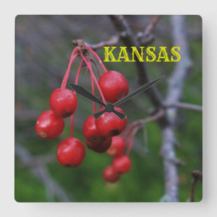 Kansas Red Cherry's closeup Square Wall Clock