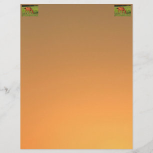 Kansas Red Horse Letter Head Letterhead