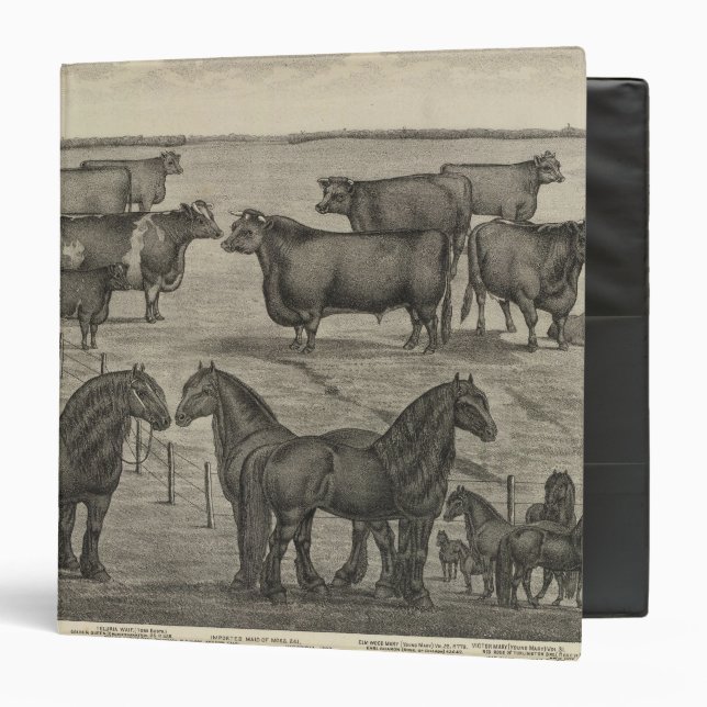 Kansas Representatives Binder (Front/Inside)