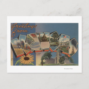Kansas (State Capital/Flower) Postcard