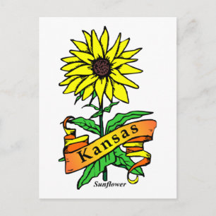 Kansas State Flower Postcard