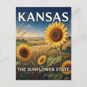 Kansas State Pride 🌻 Prairie Landscape Postcard