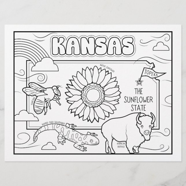 kansas state shape and facts colouring page (Front)