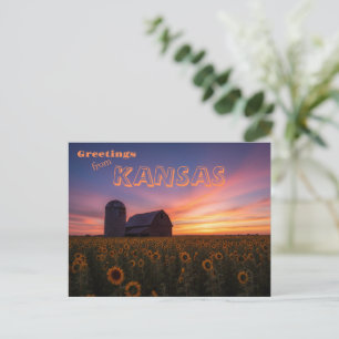 Kansas Sunflower Field Barn Landscape Postcard