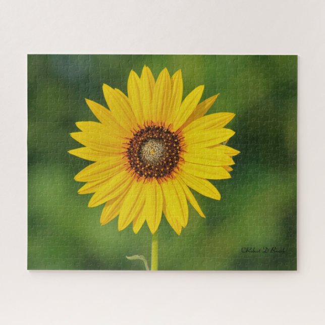 Kansas Sunflower Jigsaw Puzzle (Horizontal)