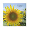 Kansas Sunflower