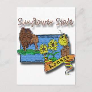 Kansas Sunflower State  Lark Sunflower Buffalo Postcard