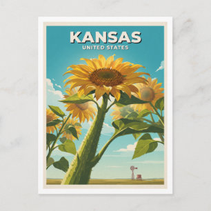 Kansas Sunflowers from Below Great Bend Postcard
