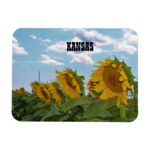 Kansas Sunflowers Magnet