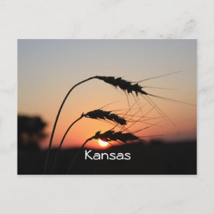 Kansas Sunset Postcard