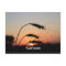 Kansas Sunset Postcard