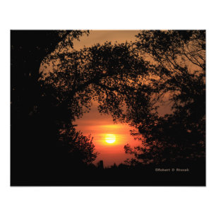 Kansas Sunset with a Tree Photo Enlargement Print