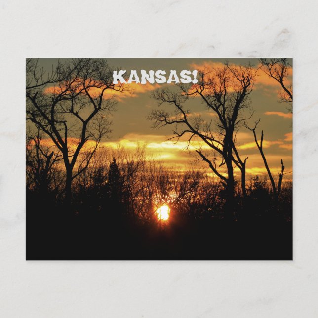 Kansas Sunset with clouds and trees Post Card. Postcard (Front)