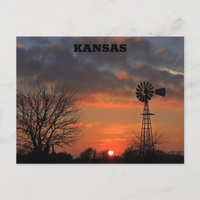 Kansas Sunset with tree and Windmill Postcard (Front)
