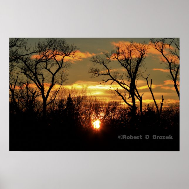 Kansas Sunset with Tree Silhouette, clouds Poster (Front)