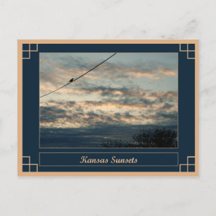 Kansas Sunsets Postcard