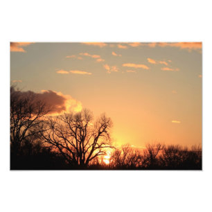 Kansas Tree silhouette, with cloud's Enlargement Photo Print