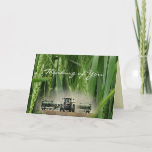 Kansas Wheat 2862 3-2- customize any occasion Card