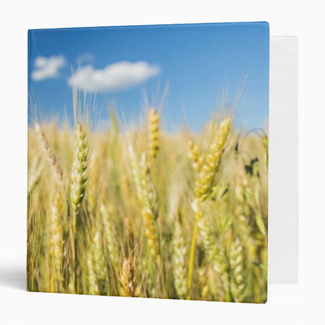 Kansas Wheat Binder (Front/Inside)