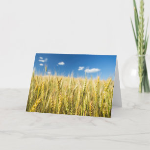 Kansas Wheat Card