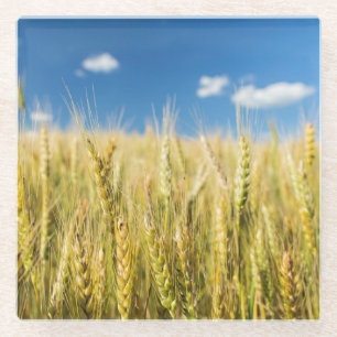 Kansas Wheat Glass Coaster