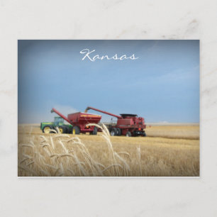 Kansas Wheat Harvest Postcard