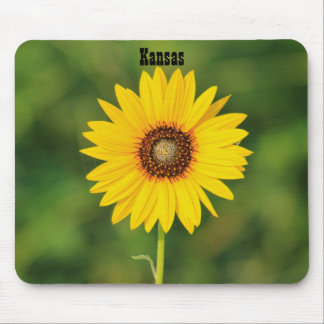 Kansas Wild Sunflower Mouse Pad