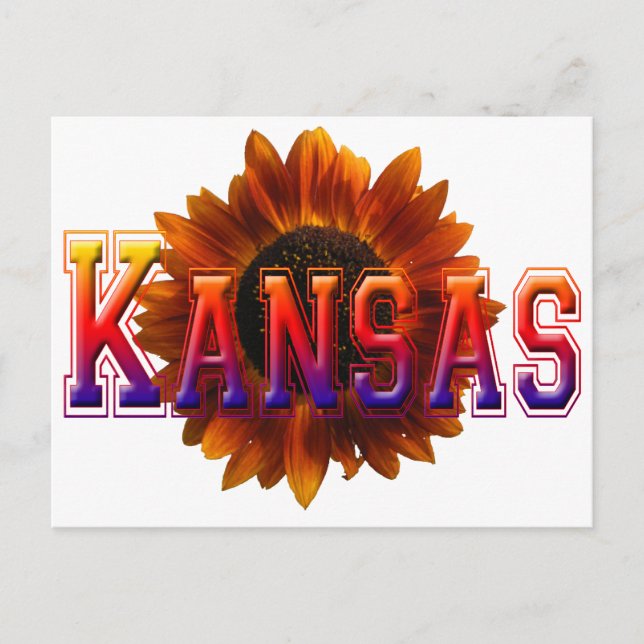 Kansas with Sunflower Postcard (Front)