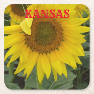 Kansas Yellow Sunflower Square Coaster