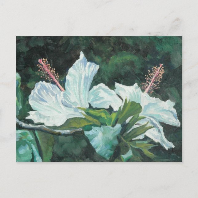 Kao Kao 5 Postcard (Front)