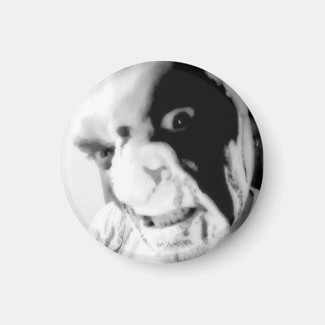 Kaos Anubis BLoody Visage Bon vs Mal Magnet (Devant)