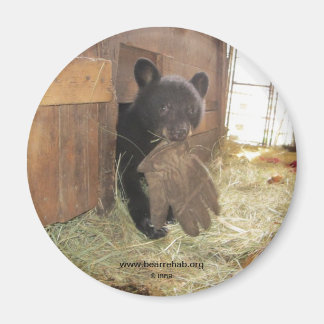 Kapalua with Glove - magnet