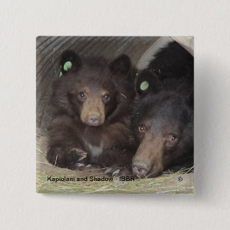 Kapiolani and Shadow - square button