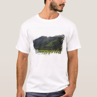 kaprun, salzburg,salzburger land, salzkammergut,