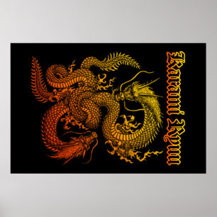 Karami Ryuu 1a Poster