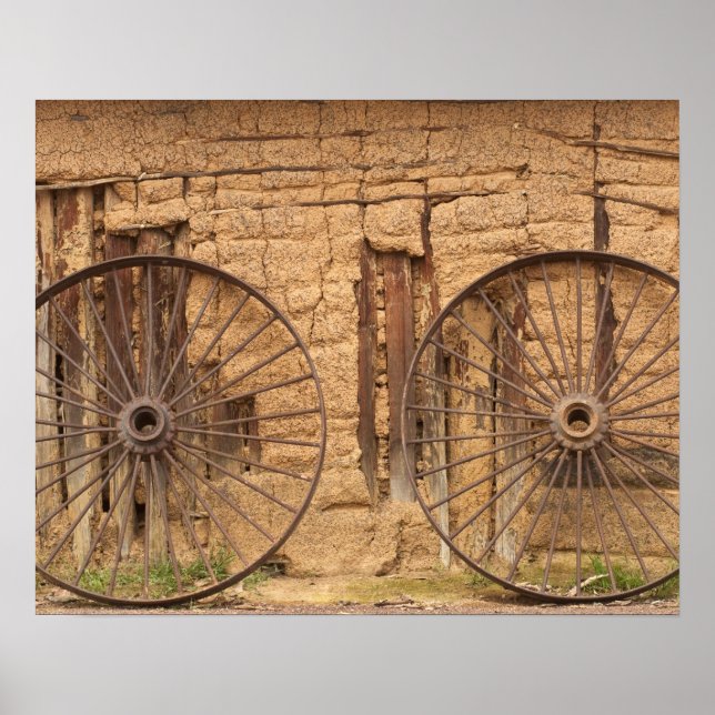 Karanambu Ranch, Savannah, Rupununi, Guyana, old Poster (Front)