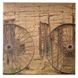 Karanambu Ranch, Savannah, Rupununi, Guyana, old Tile