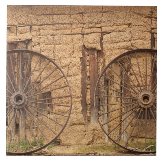 Karanambu Ranch, Savannah, Rupununi, Guyana, old Tile (Front)