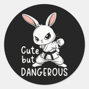 Karate Bunny Cute But Dangerous Funny Martial Arts Classic Round Sticker