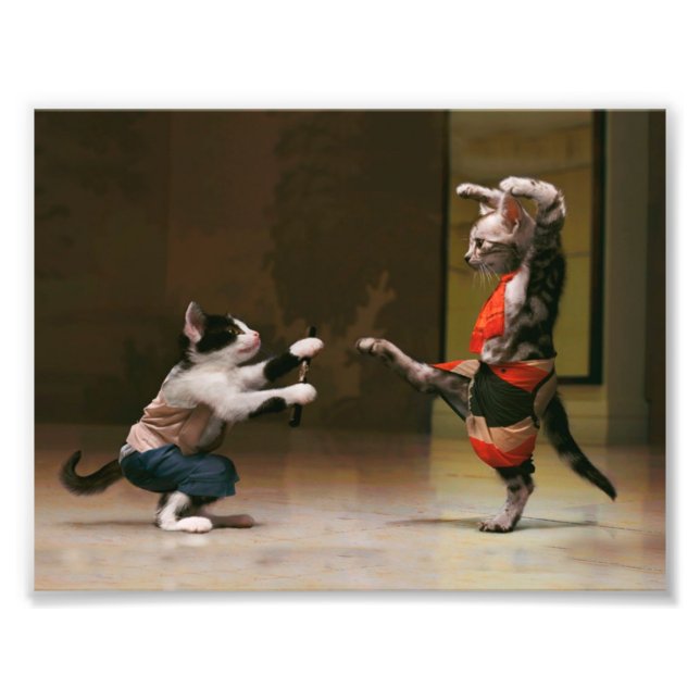 Karate cats photo print (Front)