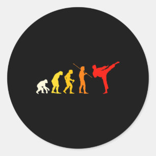 Karate Evolution Kung Fu Shotokan Gift Martial Art Classic Round Sticker