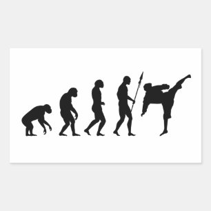 karate kick evolution sticker