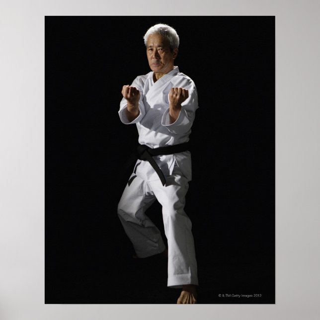 Karate master, portrait, studio shot 2 poster (Front)