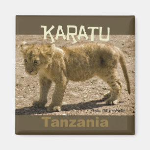 Karatu Tanzanie Afrique Frigo Magnet Lion Cub