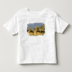 Karaweik Hall is a landmark of Yangon, locating Toddler T-shirt