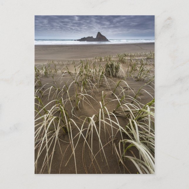Karekare Beach | Panatahi Island, West Coast Postcard (Front)