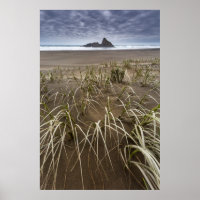 Karekare Beach | Panatahi Island, West Coast